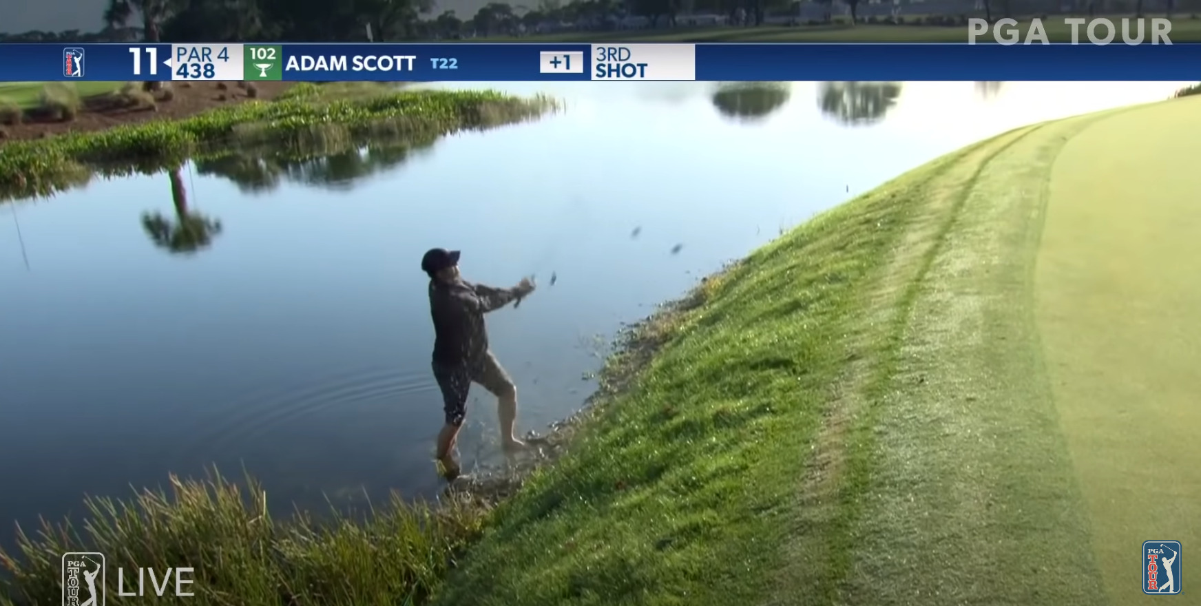 22年 アダム スコット 最新クラブセッティング スイング動画 Progolfer Info 22年 アダム スコット 最新クラブセッティング スイング動画 Progolfer Info